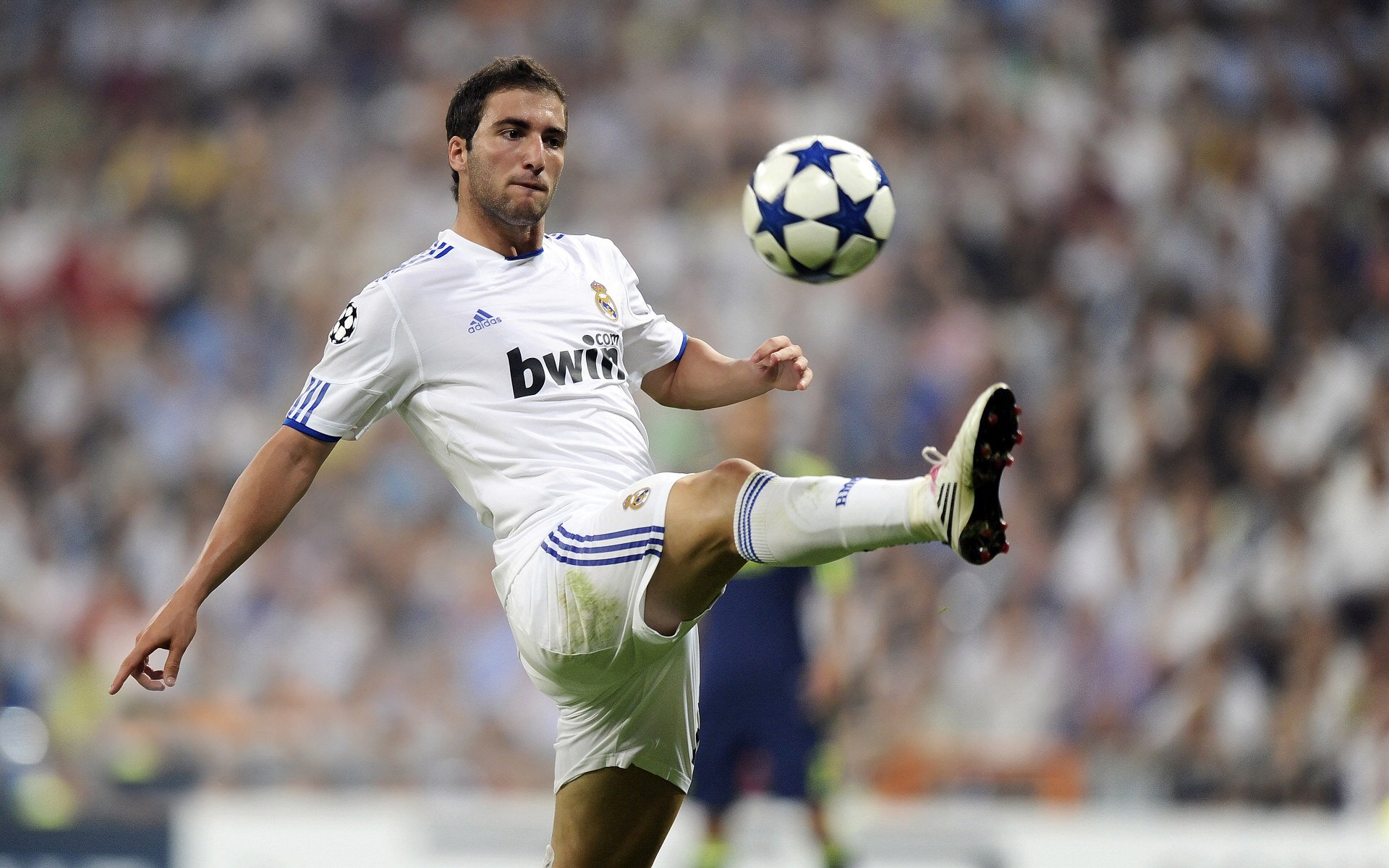 亚历山德里娅·帕金斯50米蝶泳冲进前列